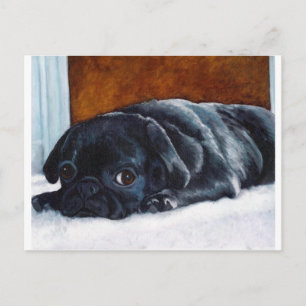 Black Pug Puppy Postcard
