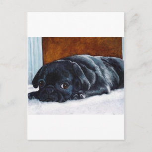 Black Pug Puppy Postcard