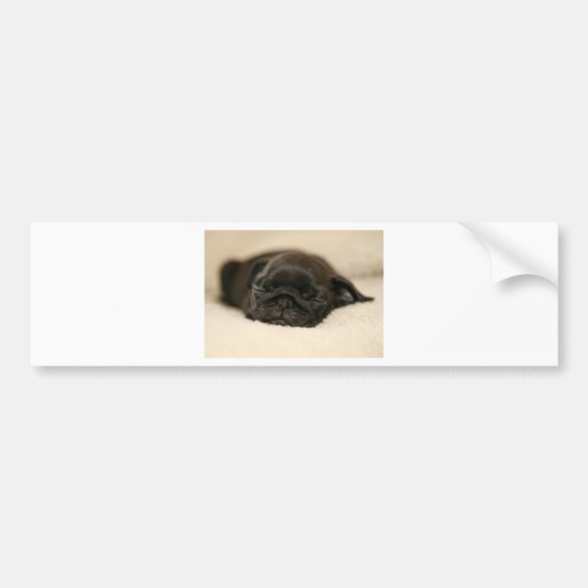 Black Pug Puppy Sleeping Bumper Sticker (Front)