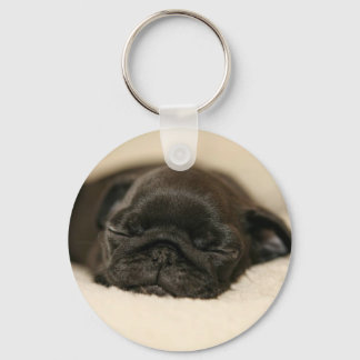 Black Pug Puppy Sleeping Key Ring
