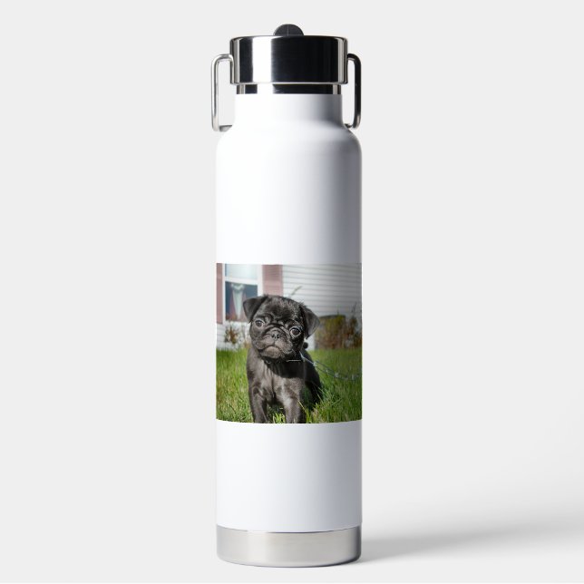 Black Pug Puppy Water Bottle (Front)