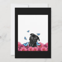 Black Pug With Blue Butterflies And Gerberas