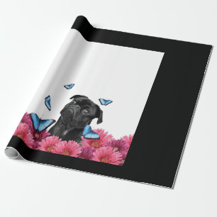 Black Pug With Blue Butterflies And Gerberas Wrapping Paper