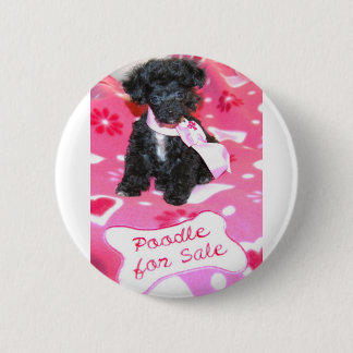 Black Puppy Poodle for Sale 6 Cm Round Badge