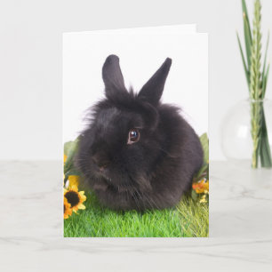 black rabbit holiday card