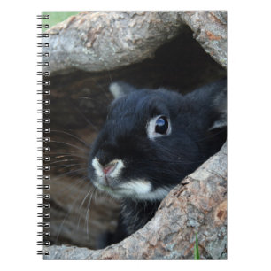 Black Rabbit in Hollow of a Tree Notebook