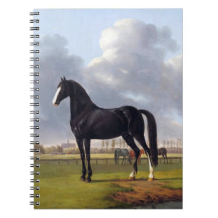 Black Race Horse circa 1828 Notebook