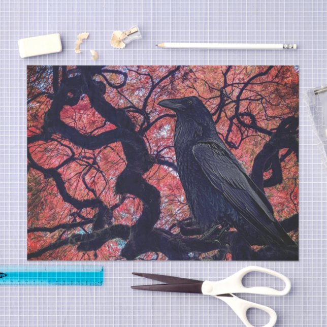 Black Raven and Gnarly Japanese Maple Tree Medium Tissue Paper (Craft)
