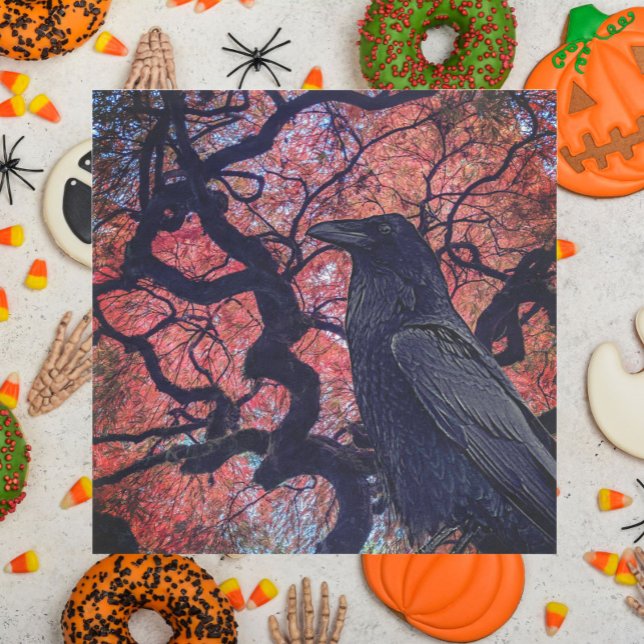 Black Raven and Gnarly Japanese Maple Tree Napkin (In Situ Halloween)