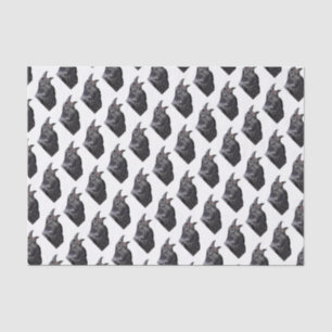 Black Raven Calling Tissue Paper
