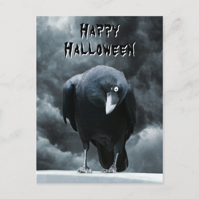 Black Raven Halloween Postcard (Front)