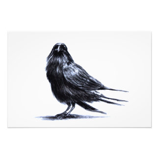 Black Raven Photo Print