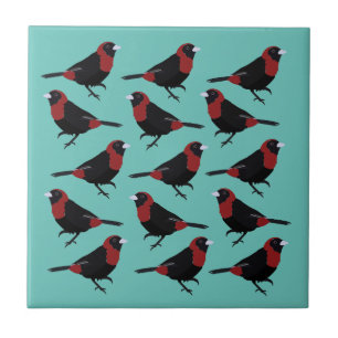 Black Red Crimson-Collared Tanager Songbird  Tile