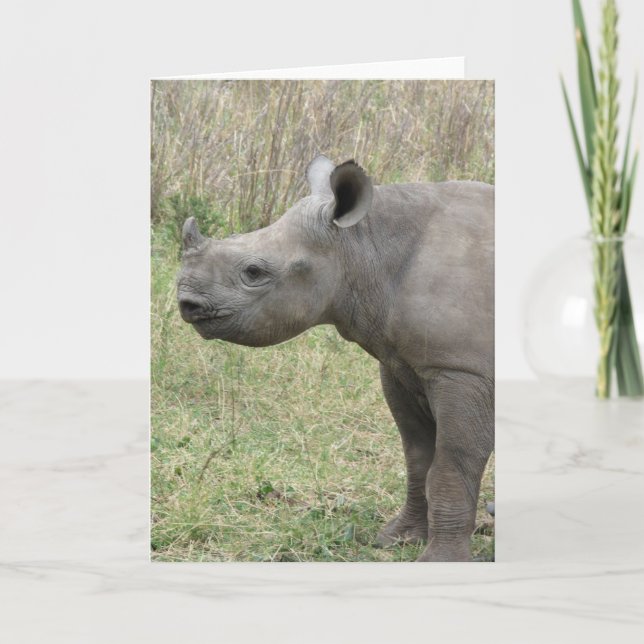 Black Rhino Baby Card (Front)