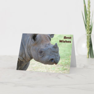 Black Rhino Card