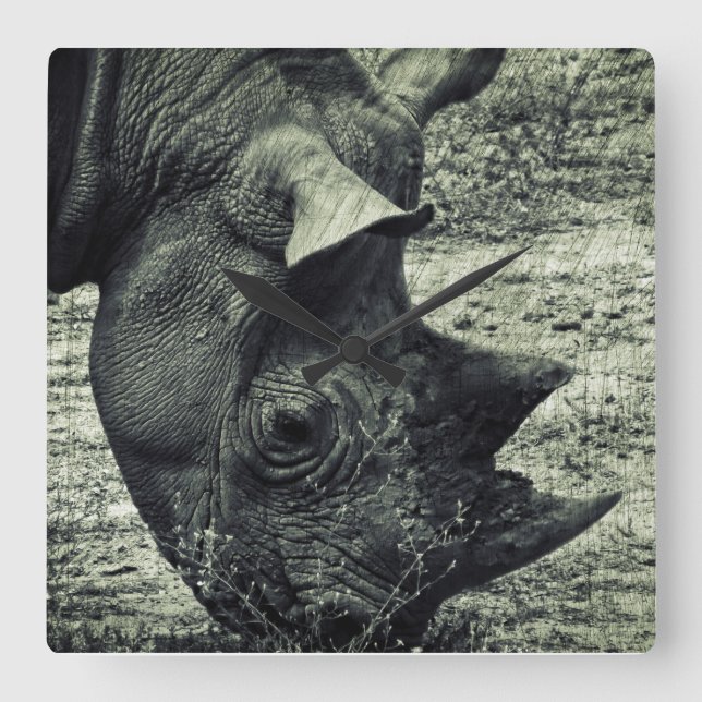 Black Rhino Grazing, Grunge, Monochrome Square Wall Clock (Front)
