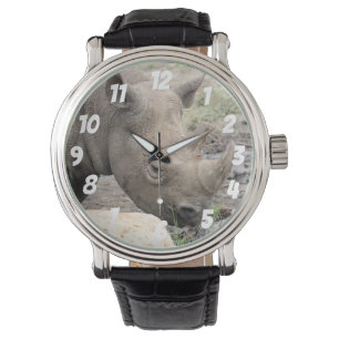 Black Rhino Watch