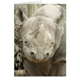 Black Rhinoceros Card