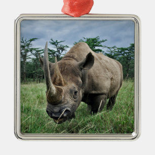 Black Rhinoceros, Diceros bicornis, Kenya Metal Tree Decoration