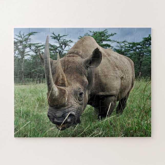 Black Rhinoceros | Kenya Jigsaw Puzzle (Horizontal)