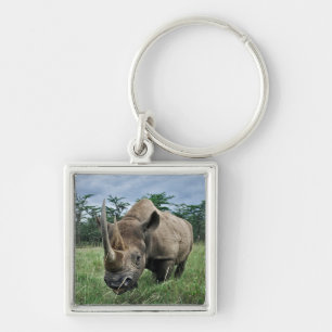 Black Rhinoceros Kenya Key Ring