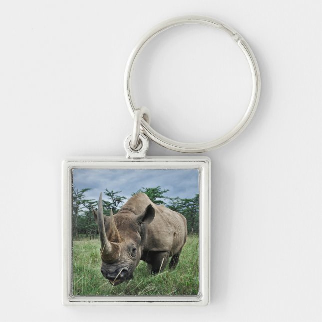Black Rhinoceros | Kenya Key Ring (Front)
