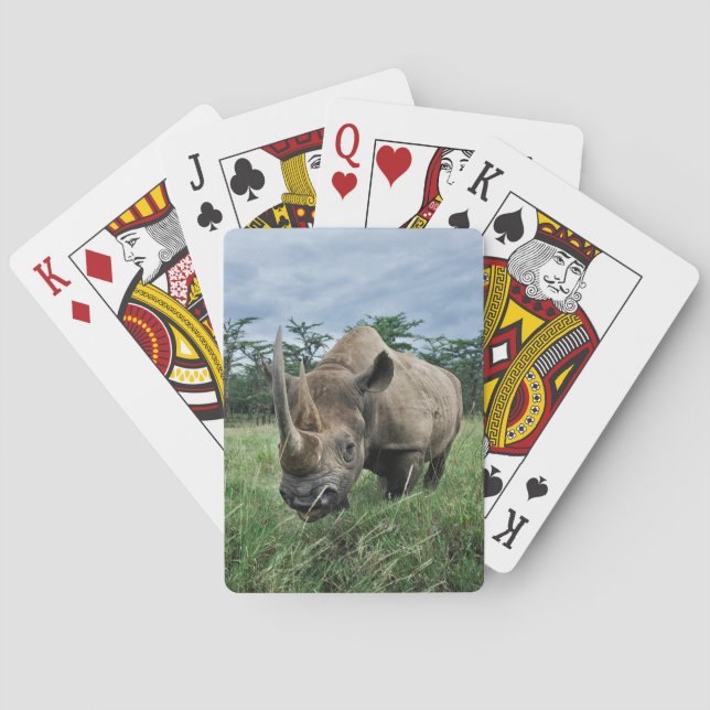 Black Rhinoceros | Kenya Playing Cards (Back)