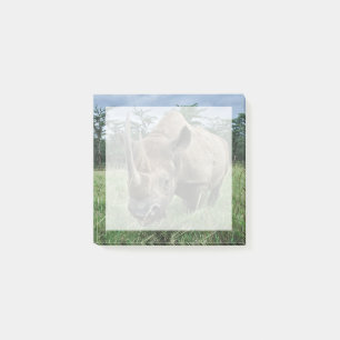 Black Rhinoceros Kenya Post-it Notes