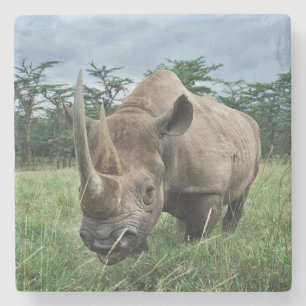 Black Rhinoceros Kenya Stone Coaster