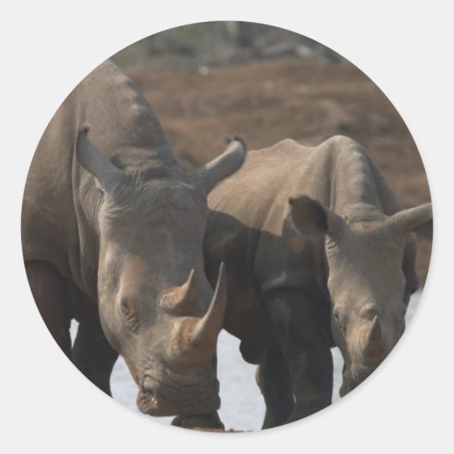 Black Rhinos Sticker (Front)