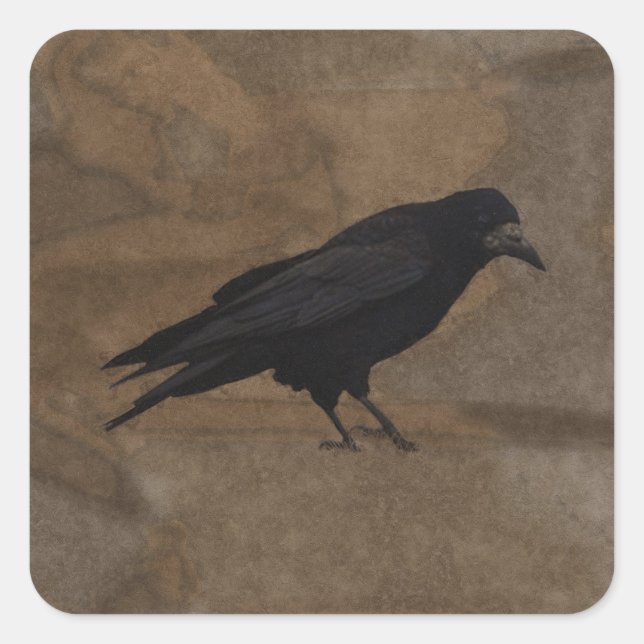 Black Rook British Corvid and Rustic Background Square Sticker (Front)
