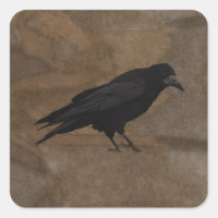 Black Rook British Corvid and Rustic Background