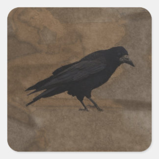Black Rook British Corvid and Rustic Background Square Sticker