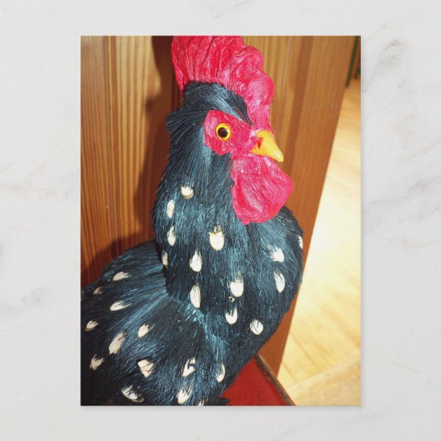 Black Rooster Postcard (Front)