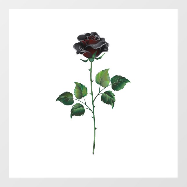 Black rose flower (Sheet)