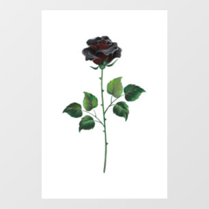 Black rose flower
