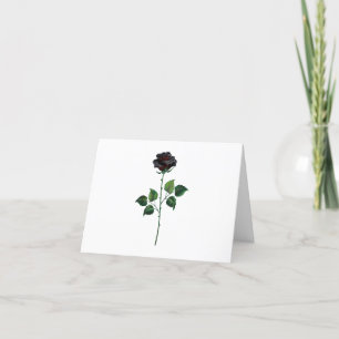 Black rose flower announcement