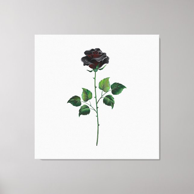 Black rose flower canvas print (Front)