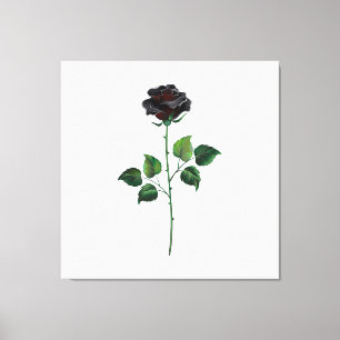 Black rose flower canvas print