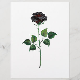 Black rose flower flyer