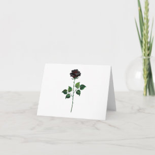 Black rose flower note card
