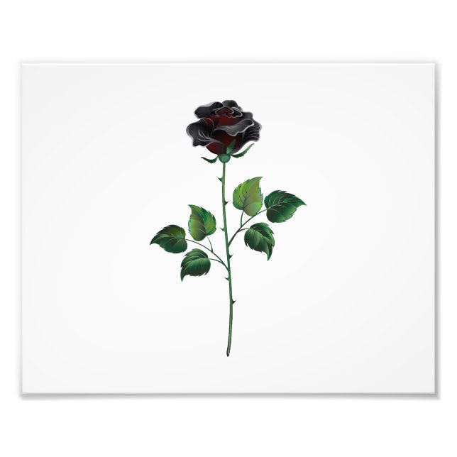 Black rose flower photo print (Front)