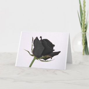 Black Rose Holiday Card