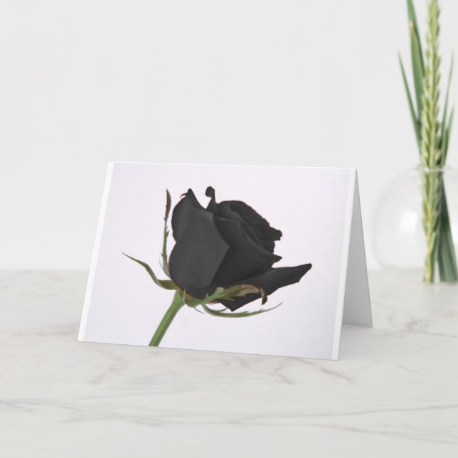 Black Rose Holiday Card (Front)