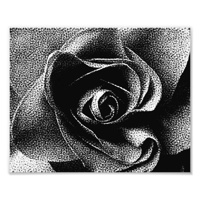 BLACK ROSE PHOTO PRINT (Front)