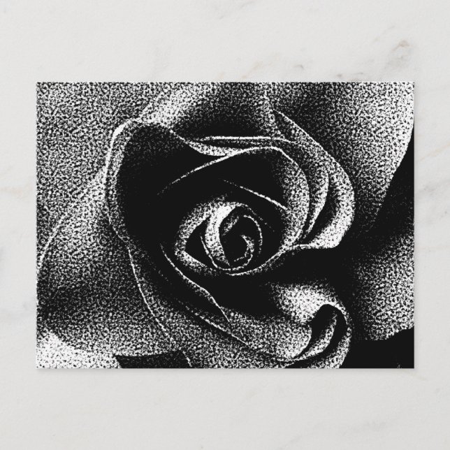 BLACK ROSE POSTCARD (Front)