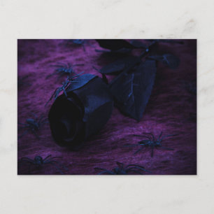 Black Rose Postcard