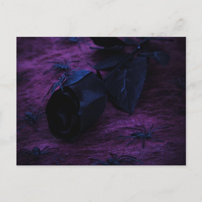 Black Rose Postcard (Front)