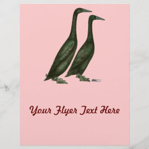 Black Runner Ducks Flyer