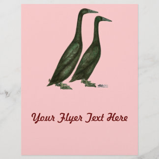 Black Runner Ducks Flyer
